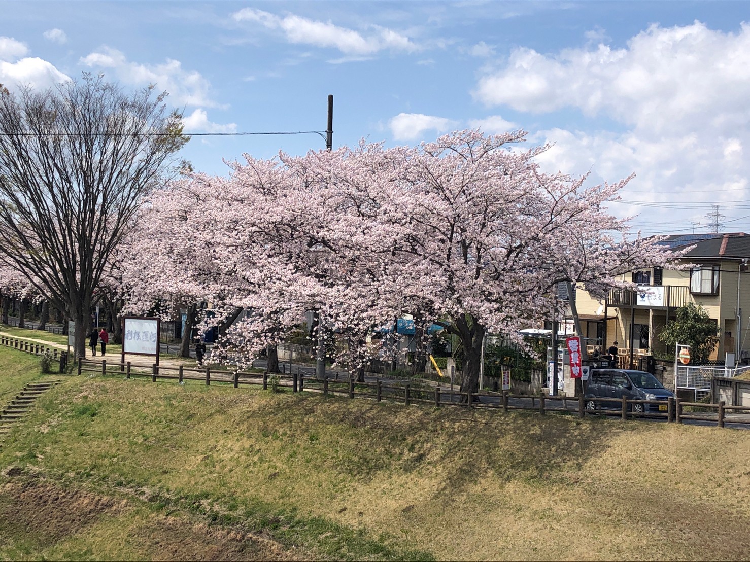 ≪流山市東深井≫松まる(割烹・小料理)利根運河沿いにあり、最高のロケーションで食事を楽しめます！ 